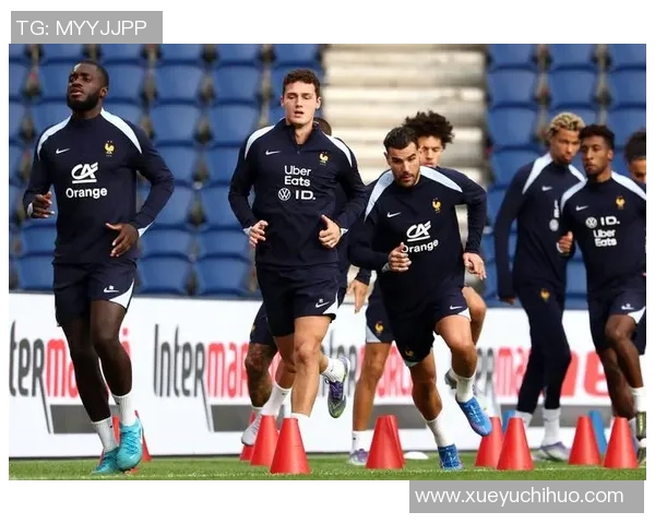 法国足球传奇球星及其对全球足球影响力的深远分析