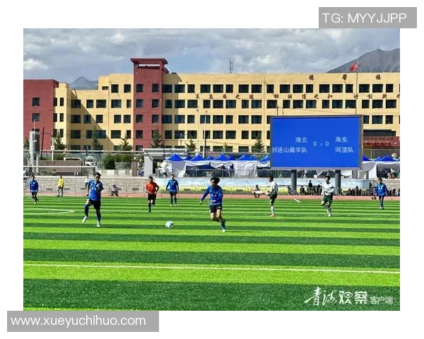 藏族足球球星的崛起与影响力分析你知道有哪些藏族球员吗