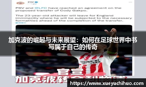 DB旗舰官网